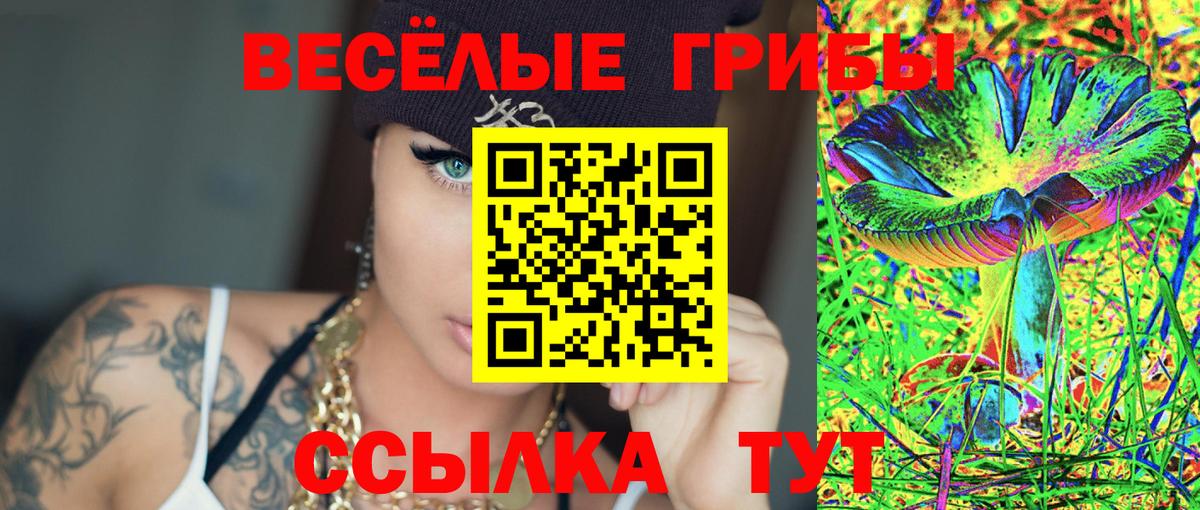 Галлюциногенные грибы Cubensis  Галлюциногенные грибы мицелий  Калуга  Вход с VPN 